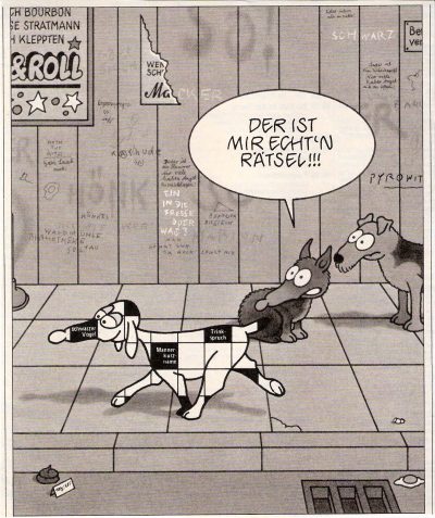 Bild-31