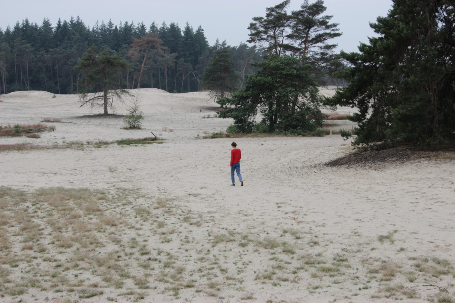 Die Wüste lebt Erhard Preuß